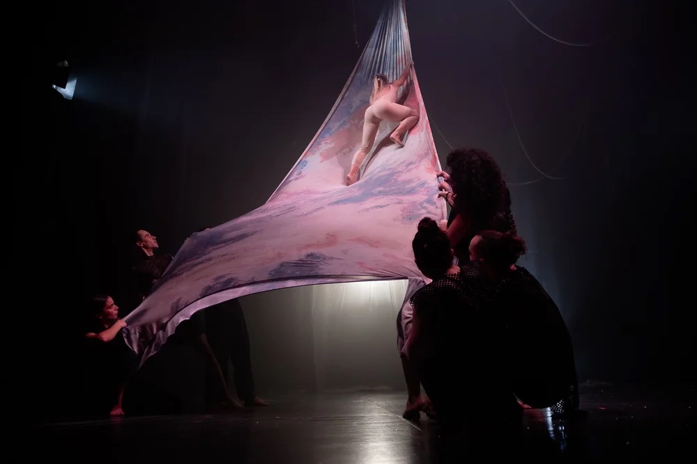 Zirkuss: sustraiak eta abangoardia Zirkuss: sustraiak eta abangoardia