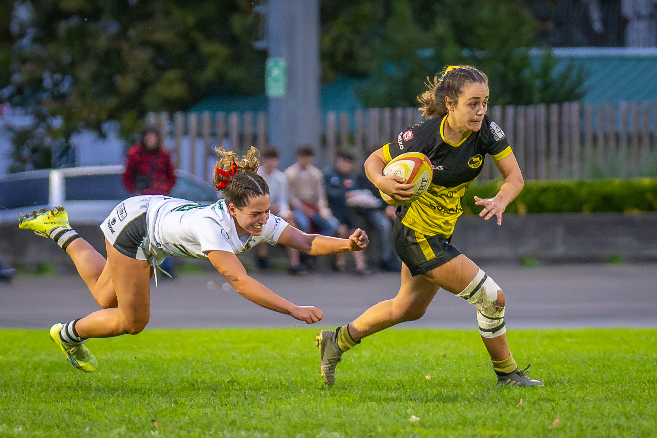 Maider Aresti. BERRIA