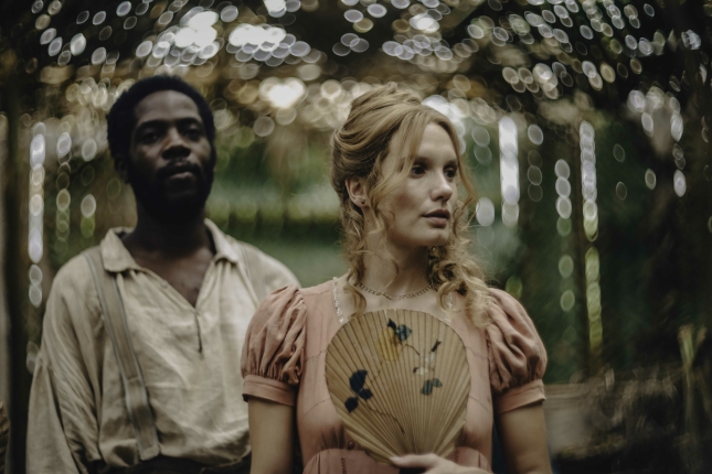 (ID_17683020387855) Furcy ne libre