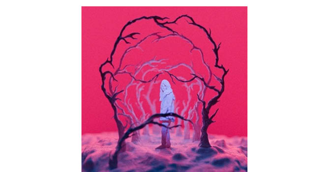 Sua taldearen diskoaren azala.