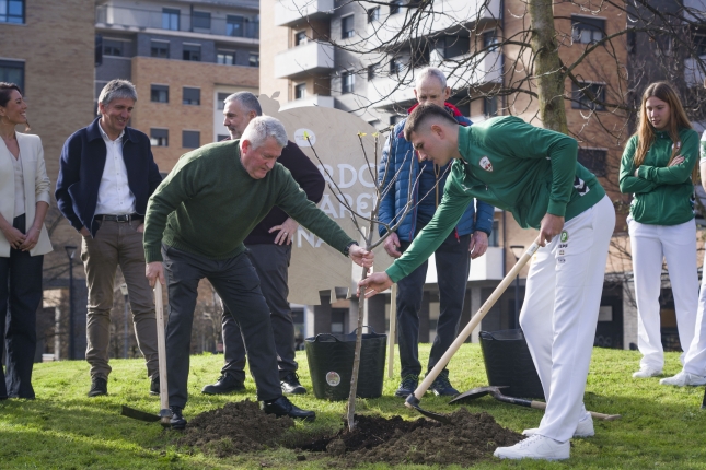 Sagarrondoa landatzen, Erribera kanpoaldean. JON URBE / FOKU