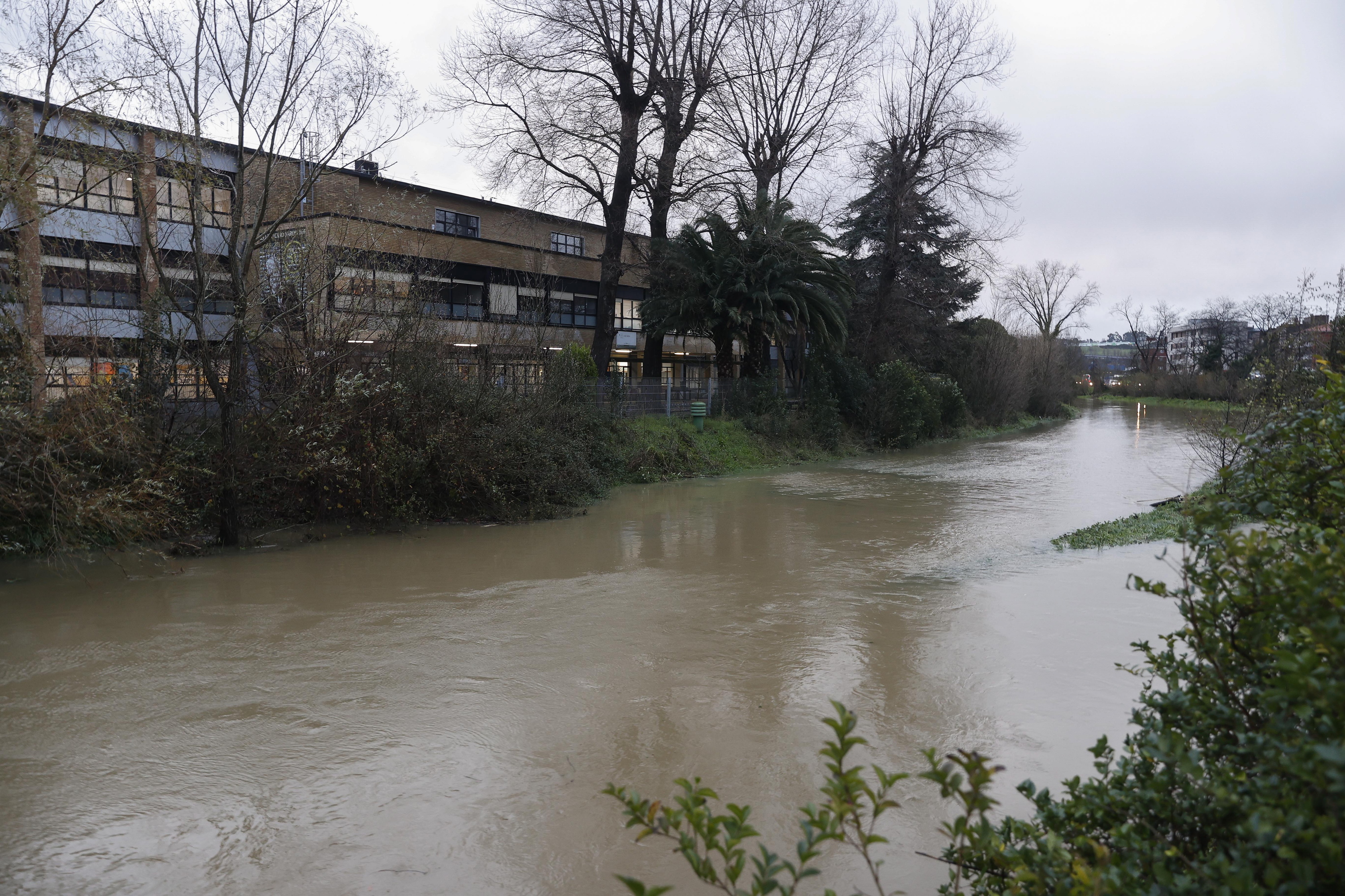 Gobela ibaia hazita, Getxon, 2023ko urtarrilean. MIGUEL TOÑA / EFE