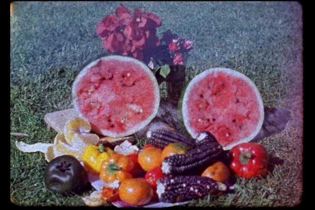 Artium- Los Ingravidos