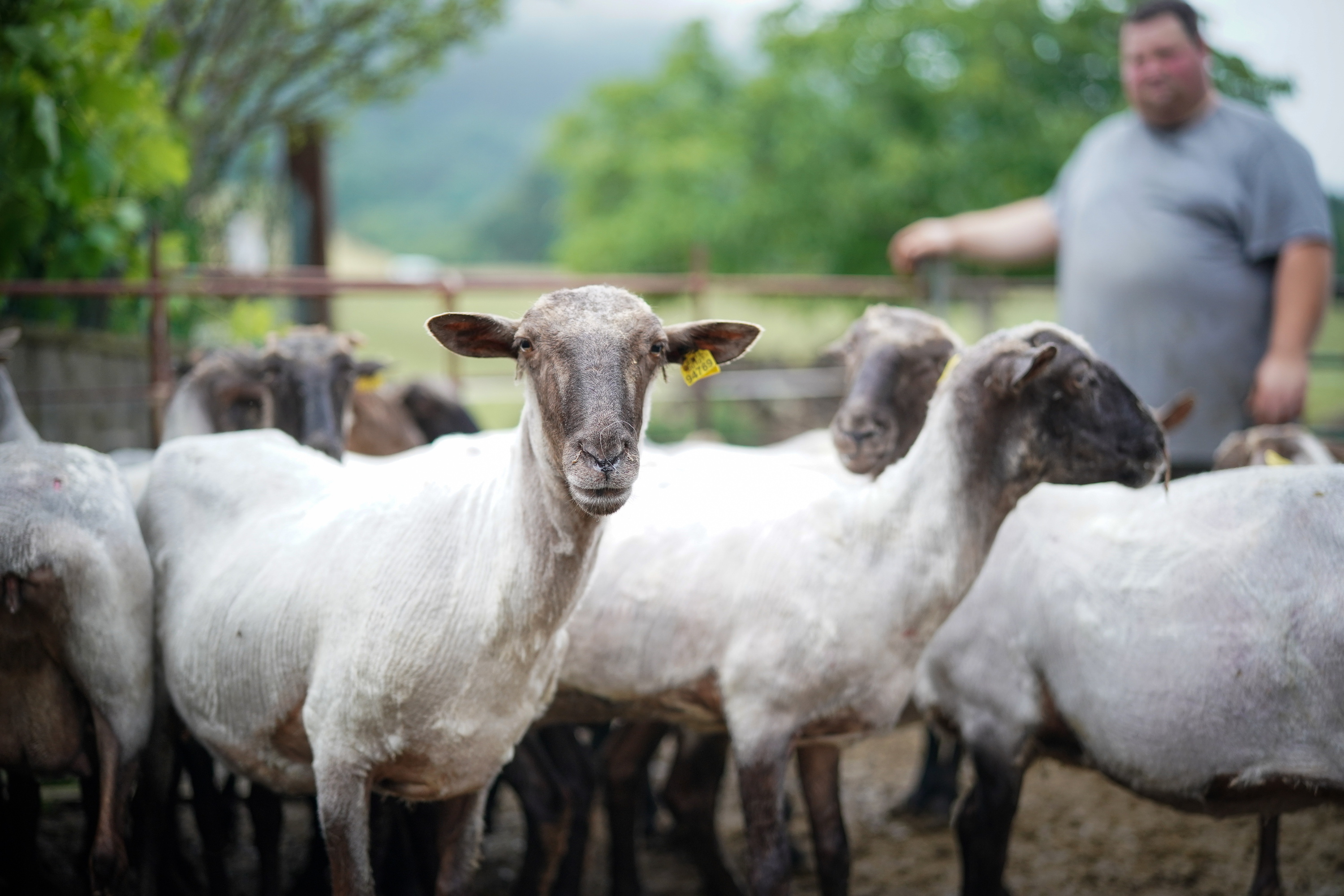 Artalde bat. ENDIKA PORTILLO / FOKU
