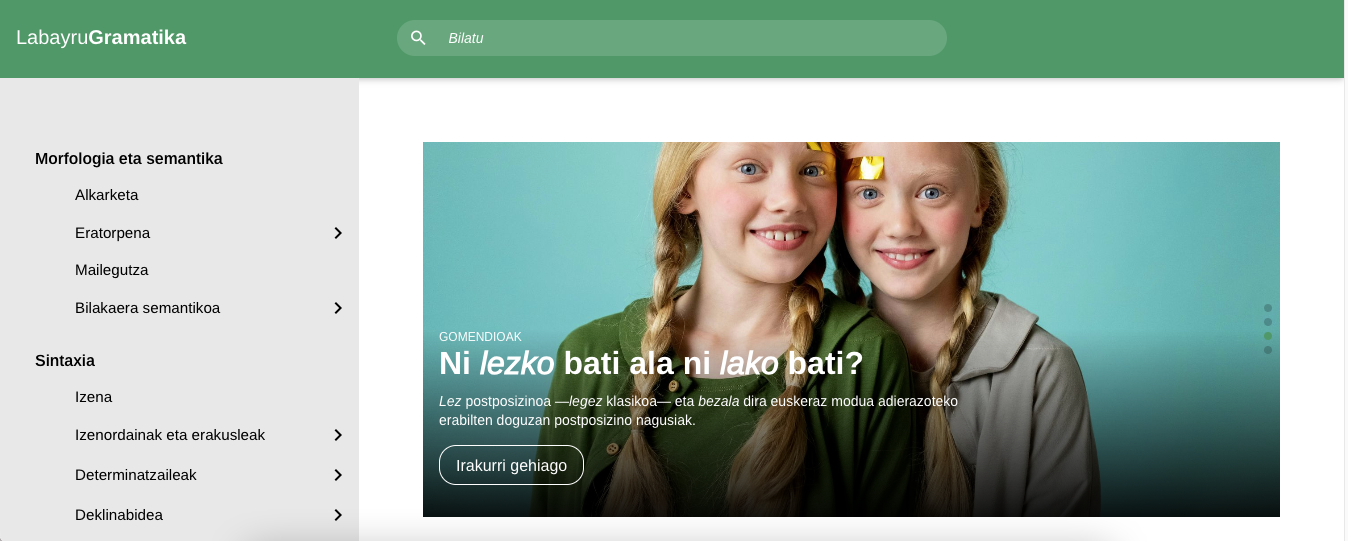 'Labayru Gramatika' webgunearen irudi bat. BERRIA