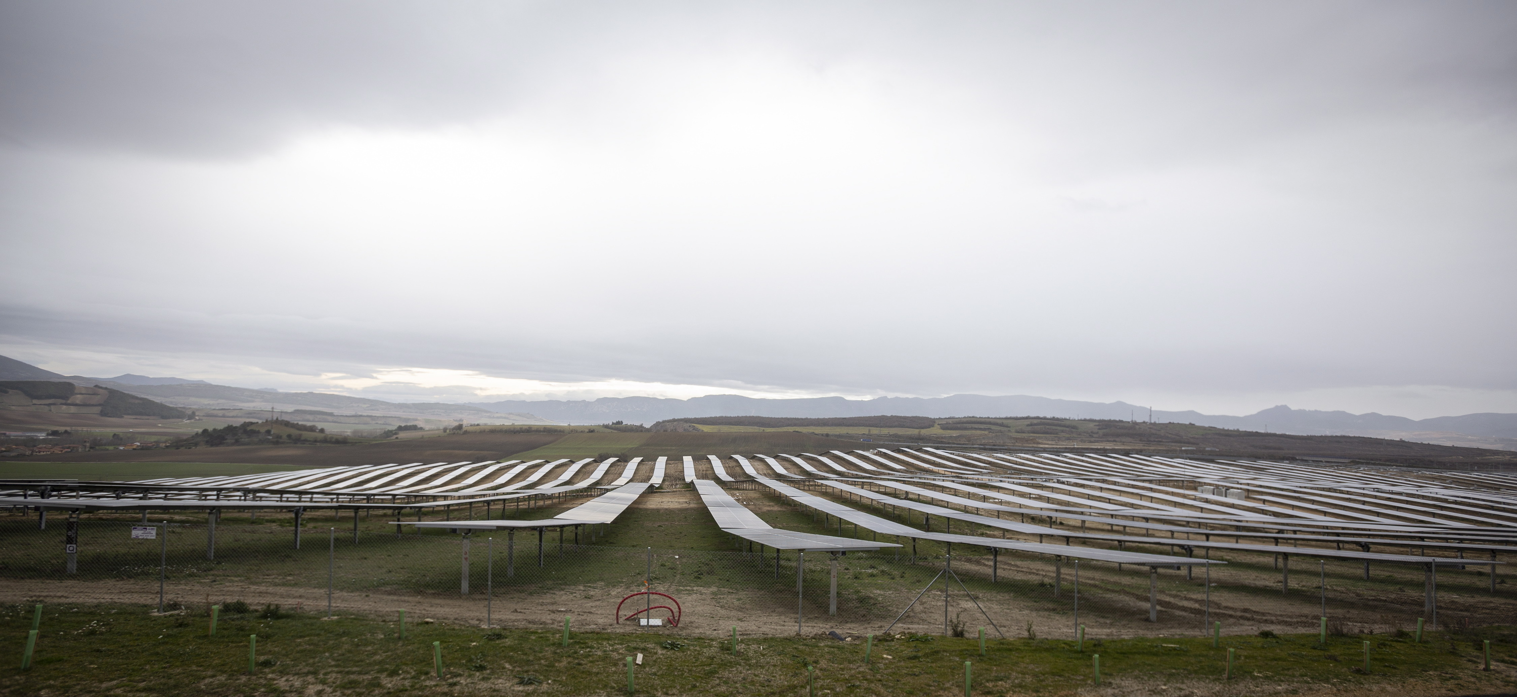 Parke fotovoltaiko bat Arabako Erriberabeitian. ENDIKA PORTILLO / FOKU