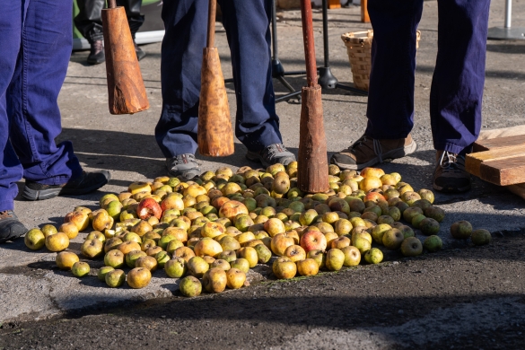 Bizkaiko sagardo berriaren aurkezpen ekitaldia, gaur, Zornotzan. ENDIKA PORTILLO / FOKU