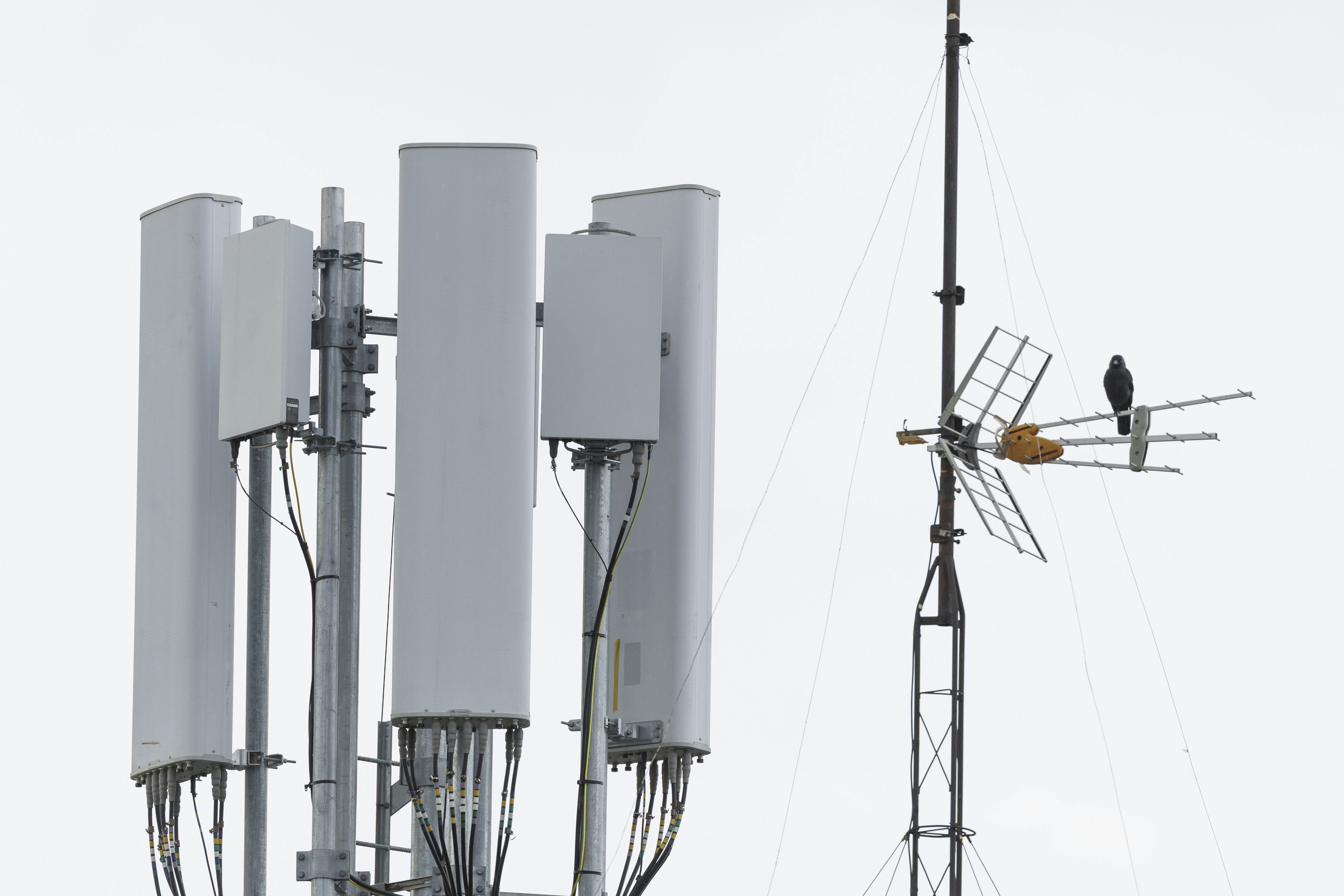 Telefonia antenak, artxiboko irudi batean. JAVIER CEBOLLADA / EFE