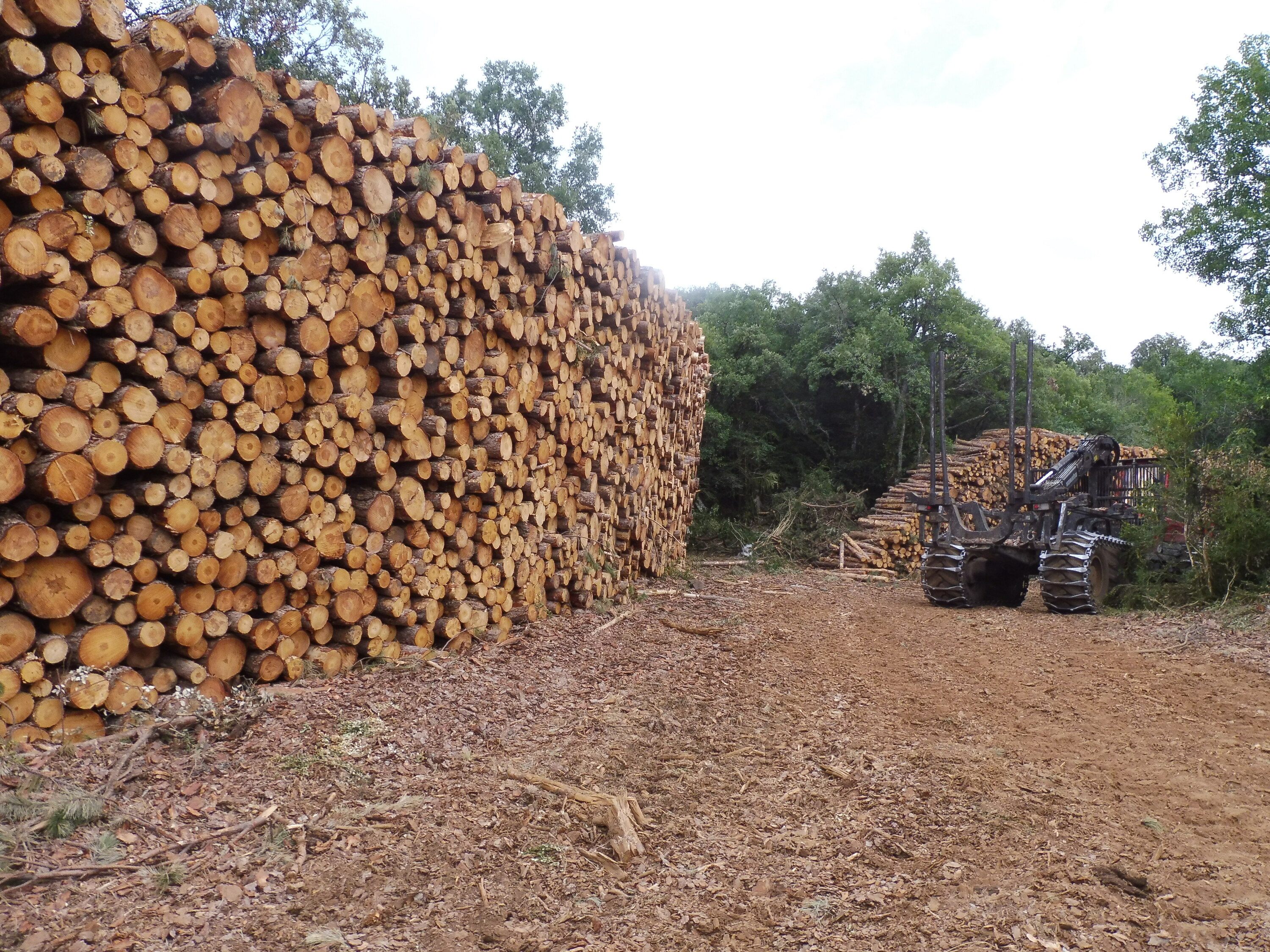 Basogintzako lanak Nafarroan, artxiboko irudi batean. NAFARROAKO GOBERNUA