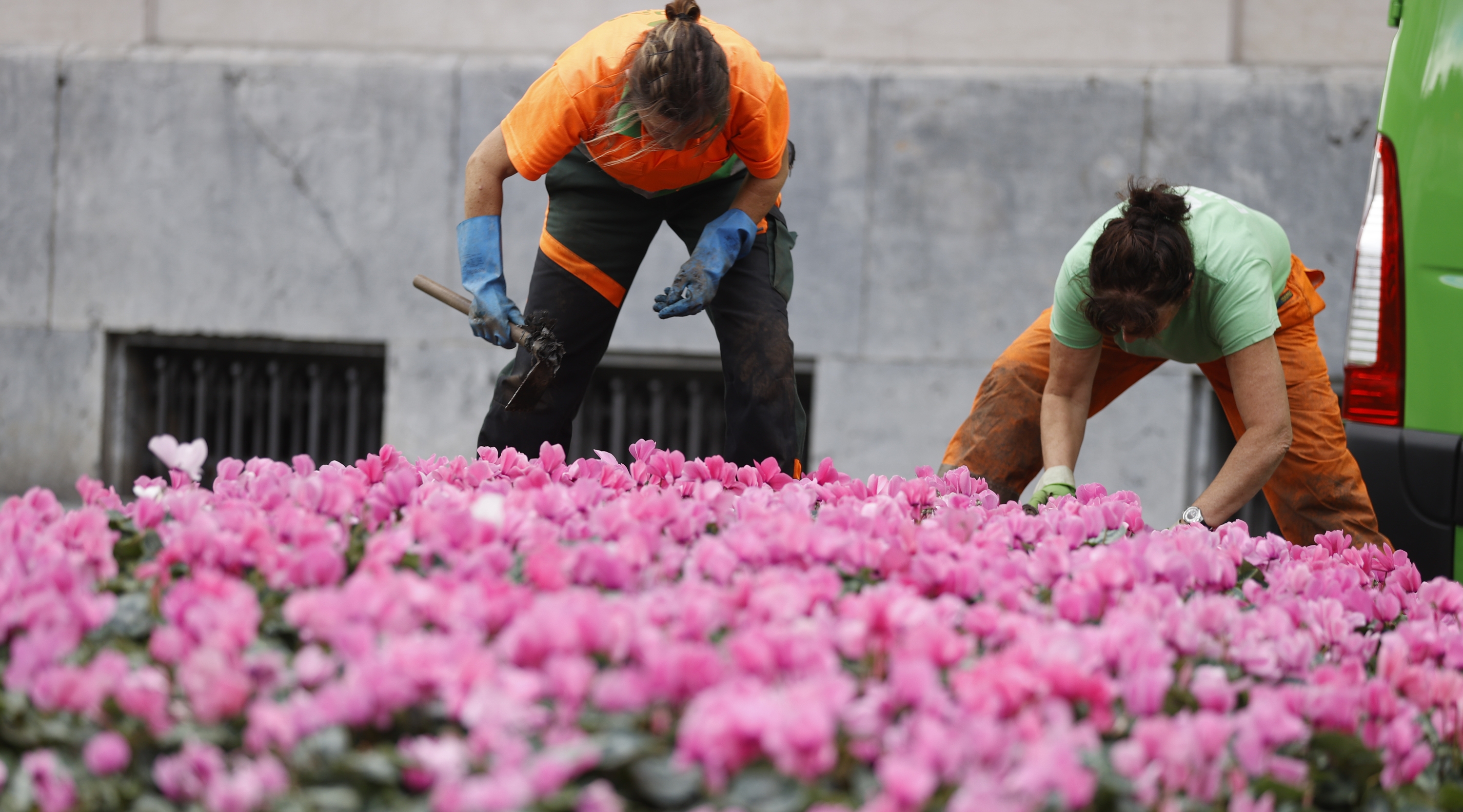 Lorezainak Bilboko lorategi batean. LUIS TEJIDO / EFE