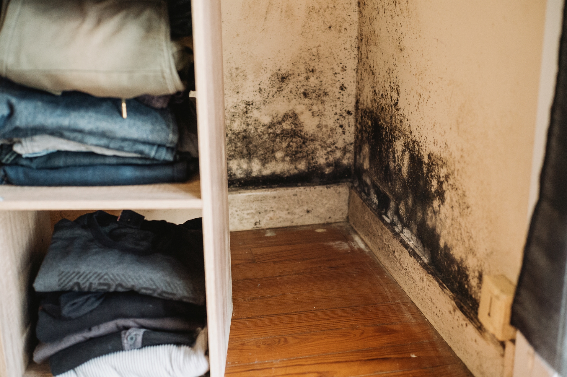 Aldak etxebizitzetako hezetasuna agerian ezartzeko manatu zuen argazki erakusketako irudietako bat. GUILLAUME FAUVEAU