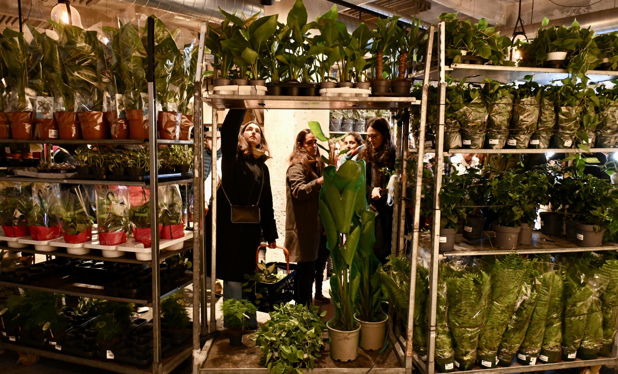 'Plantes pour tous' merkatu efimeroaren apalak beteta, gaur, Bilboko Silo espazioan. MIKEL MARTINEZ DE TRESPUENTES