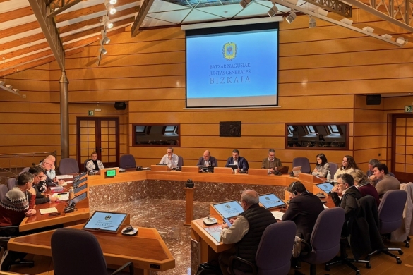 Bizkaiko Batzar Nagusietako Azpiegitura eta Lurralde Kohesio Batzordea, gaur, Bilbon. BERRIA Bizkaiko Batzar Nagusietako Azpiegitura eta Lurralde Kohesio Batzordea, gaur, Bilbon. BERRIA