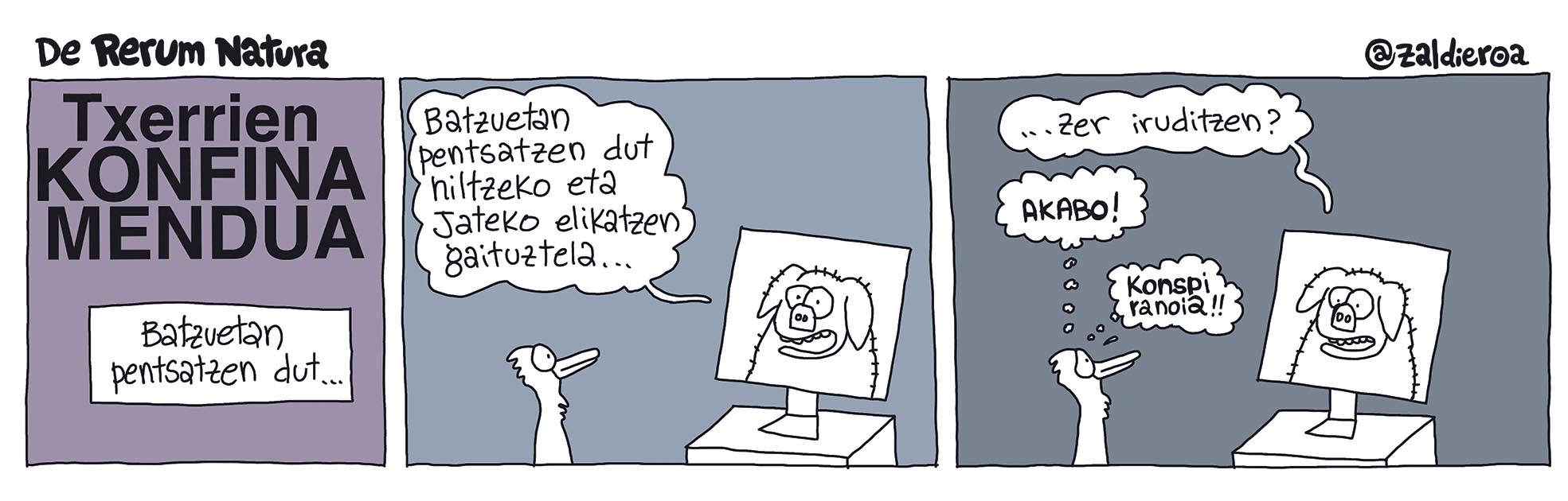 Zaldieroa 2026-02-01