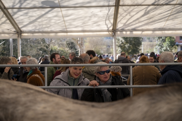 Bi emakume animalia bati begira. GORKA RUBIO / FOKU Bi emakume animalia bati begira. GORKA RUBIO / FOKU