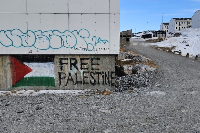 Palestinaren aldeko pintaketa bat, Nuuken. ORIOL BÄBLER MATA