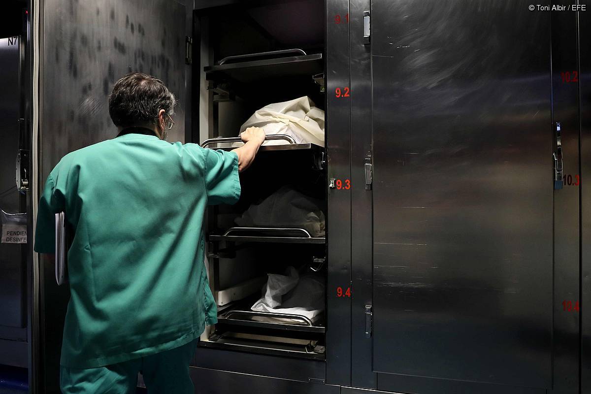 Teknikari batek gorpua hozkailutik ateratzen du, Bartzelonako L'Hospitalet ospitalean. Toni Albir / EFE