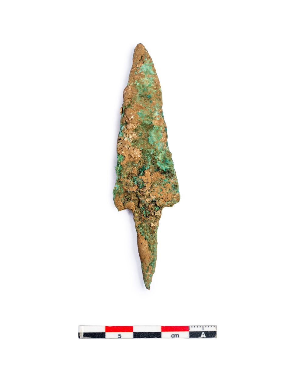 Bisontearen saihetsetan topatutako gezia. JOSE LUIS LARRION / NAFARROAKO GOBERNUA