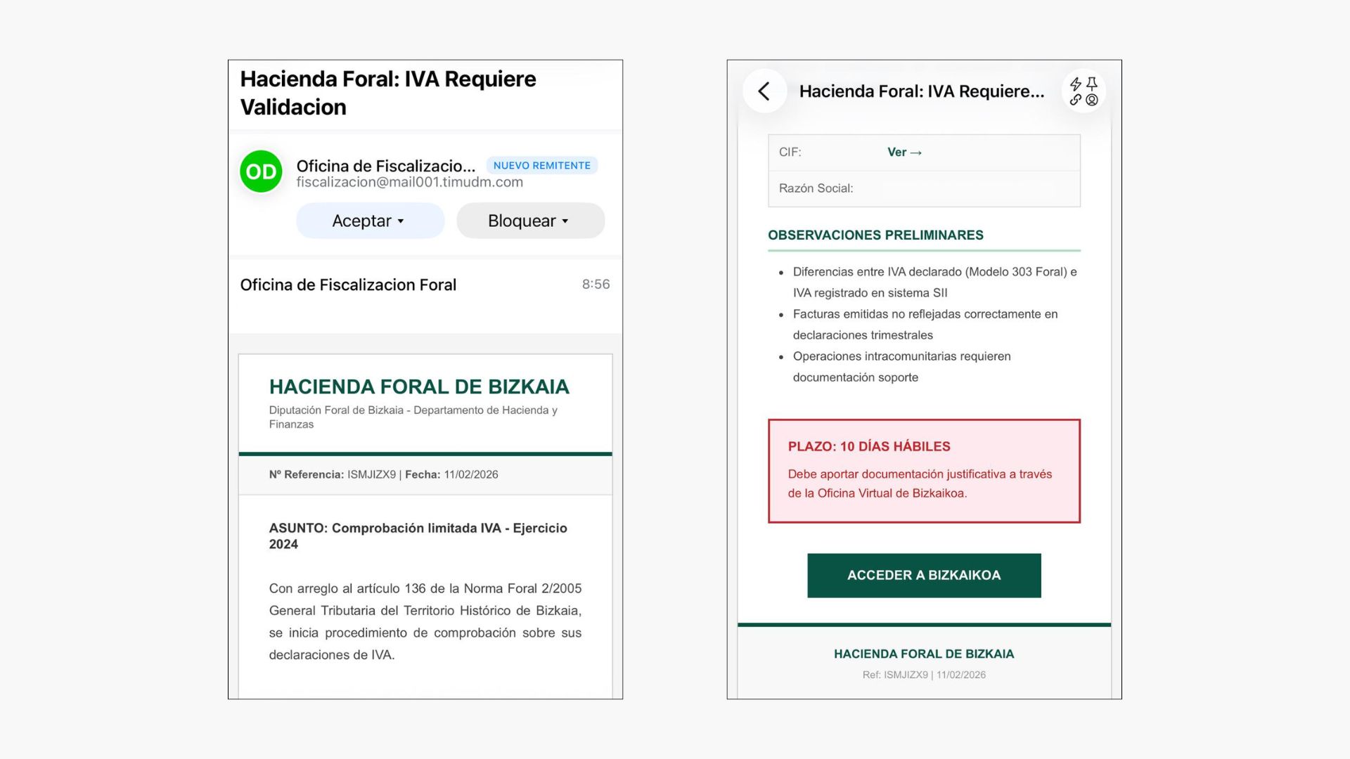 Bizkaiko Foru Ogasunaren izenean zabaldu diren iruzur mezuak. BERRIA