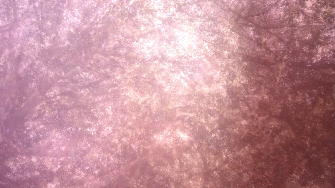 Blake Williamsek gidatutako programazio batean, 3D zinemari erreparatuko diote Ikuspuntun. IKUSPUNTU