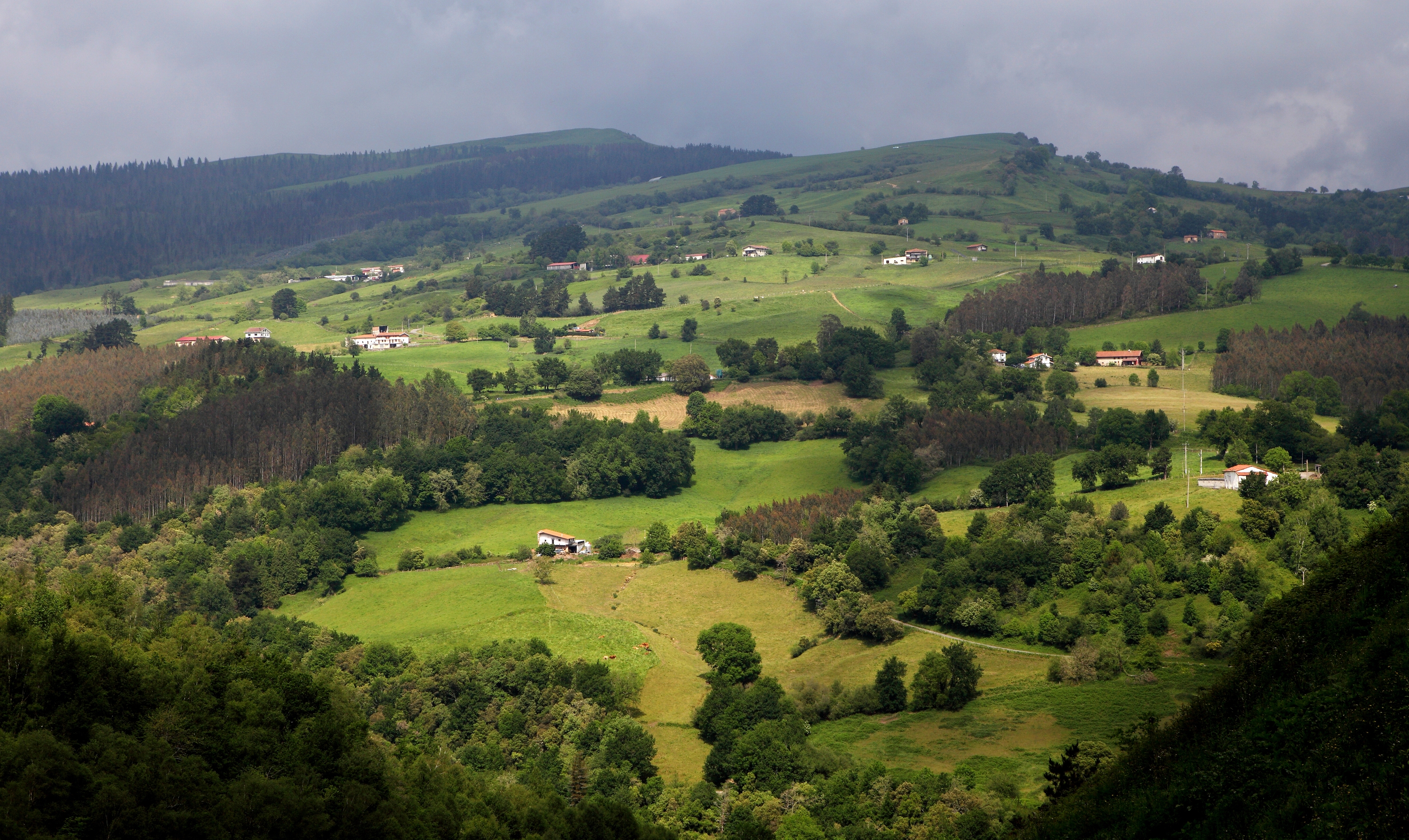 Baljerri mendia eta Lanzas Agudasko zelai uhinduak, Karrantza haranean
