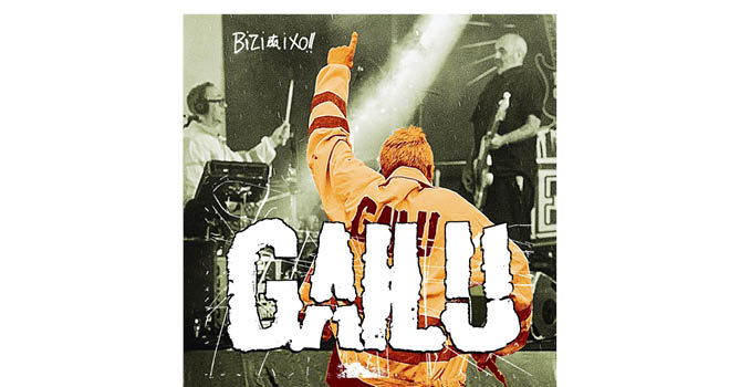 Gailu