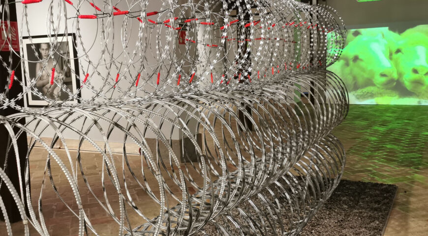 Erakusketaren irudi bat, Ziudadelako Arma aretoan. IRUÑEKO UDALA