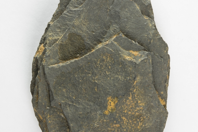 01 Aurpegibikoa DSC 3335b