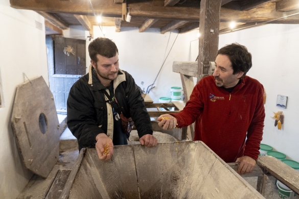 Beñat Etxekolonea nekazaria eta Edorta A. Murua errotazaina, Zubietako errotaren barruan. IÑIGO URIZ / FOKU Beñat Etxekolonea nekazaria eta Edorta A. Murua errotazaina, Zubietako errotaren barruan. IÑIGO URIZ / FOKU