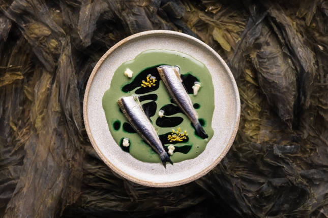 Liburuan agertzen den errezetetako bat: 'Antxoak ozpinetan, algen emultsioa eta ozpinetakoak'. BCC