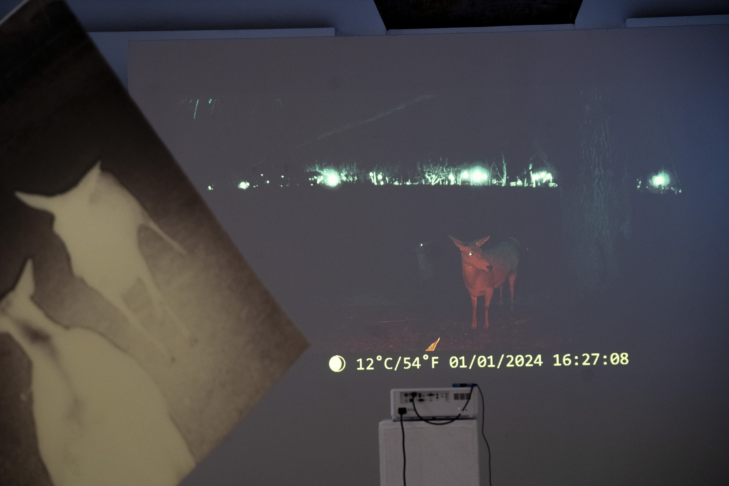 Maider Garaio artista iruindarraren 'Dear Deer' arte instalazioko pieza batzuk. IÑIGO URIZ / FOKU