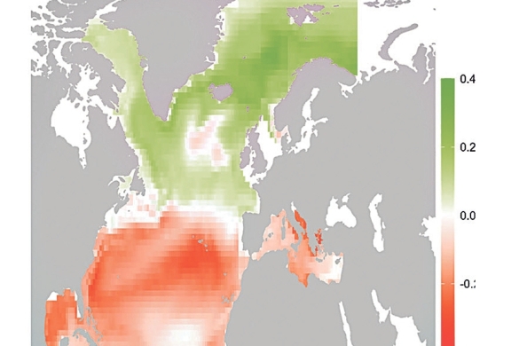 (ID_17719316196395) (/EZEZAGUNA)