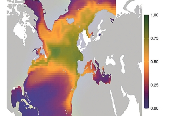 (ID_17719316048875) (/EZEZAGUNA)