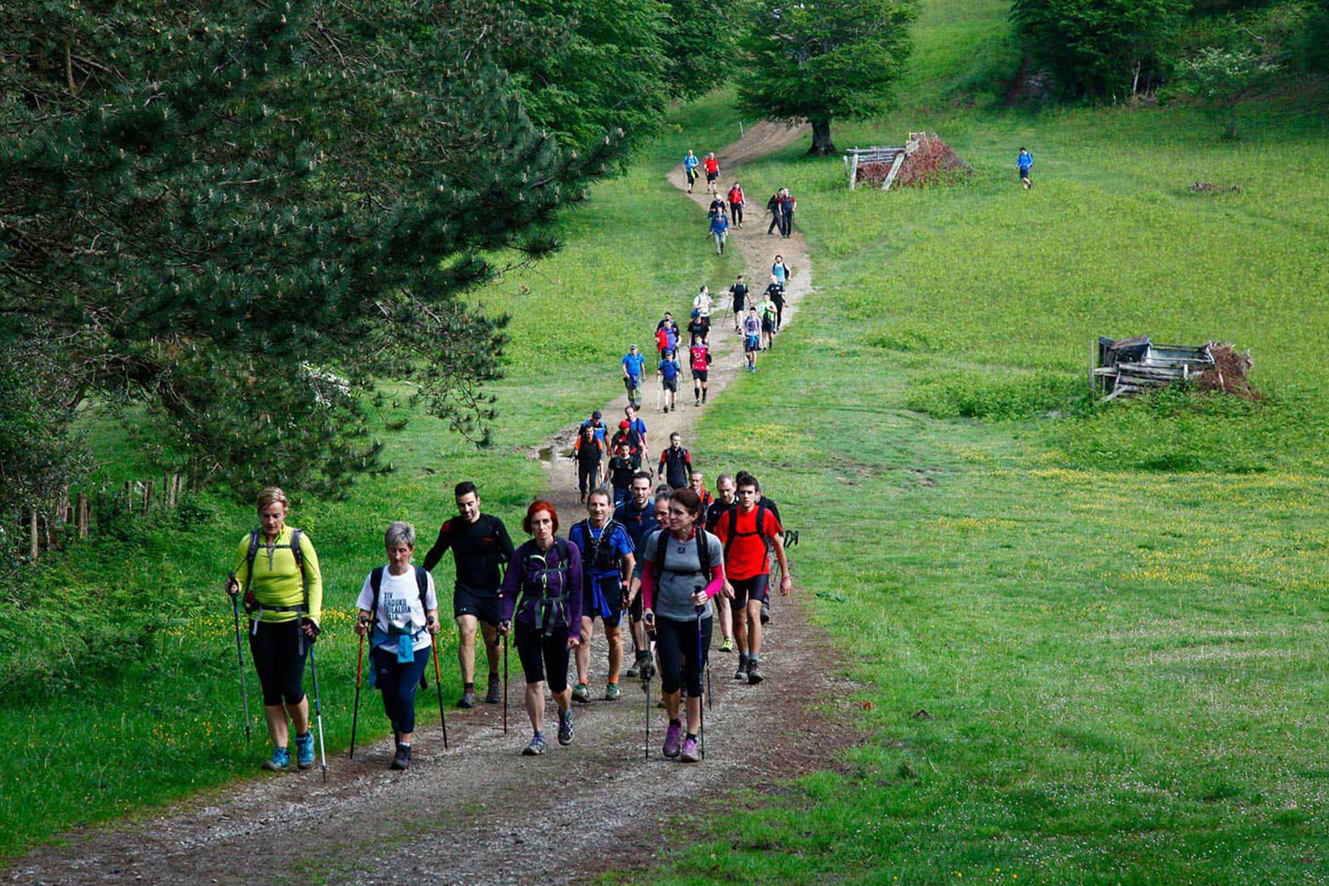 14. Orduko Ibilaldia