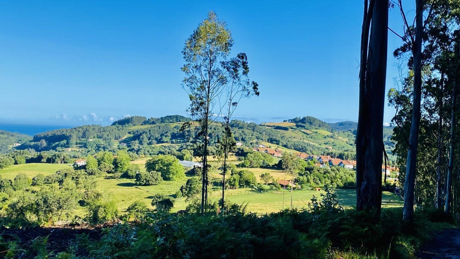 Landa ingurua Gorlizen, artxiboko irudi batean. BERRIA