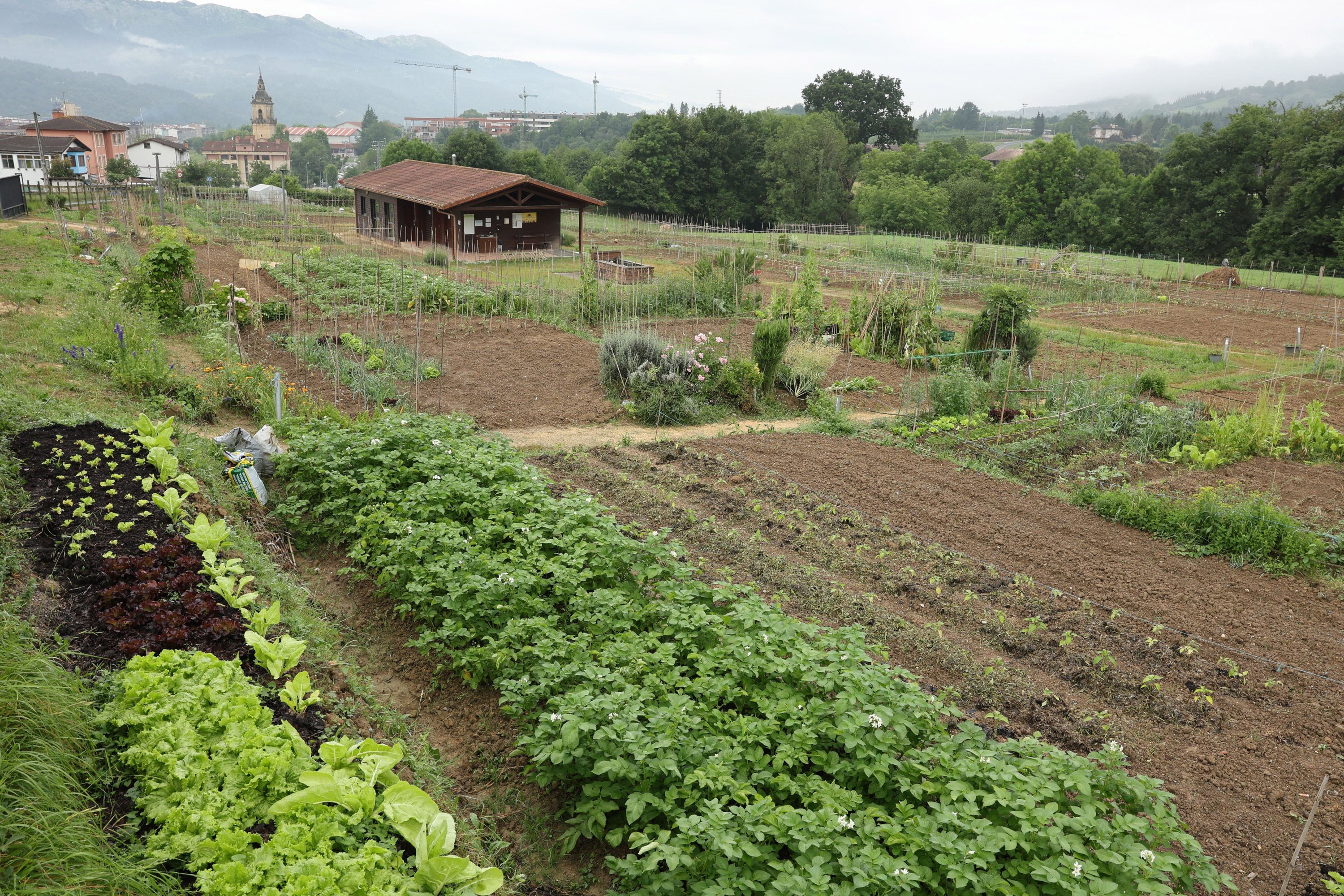 Nekazaritza ustiategi bat, Iurretan (Bizkaia). OSKAR MATXIN EDESA / FOKU
