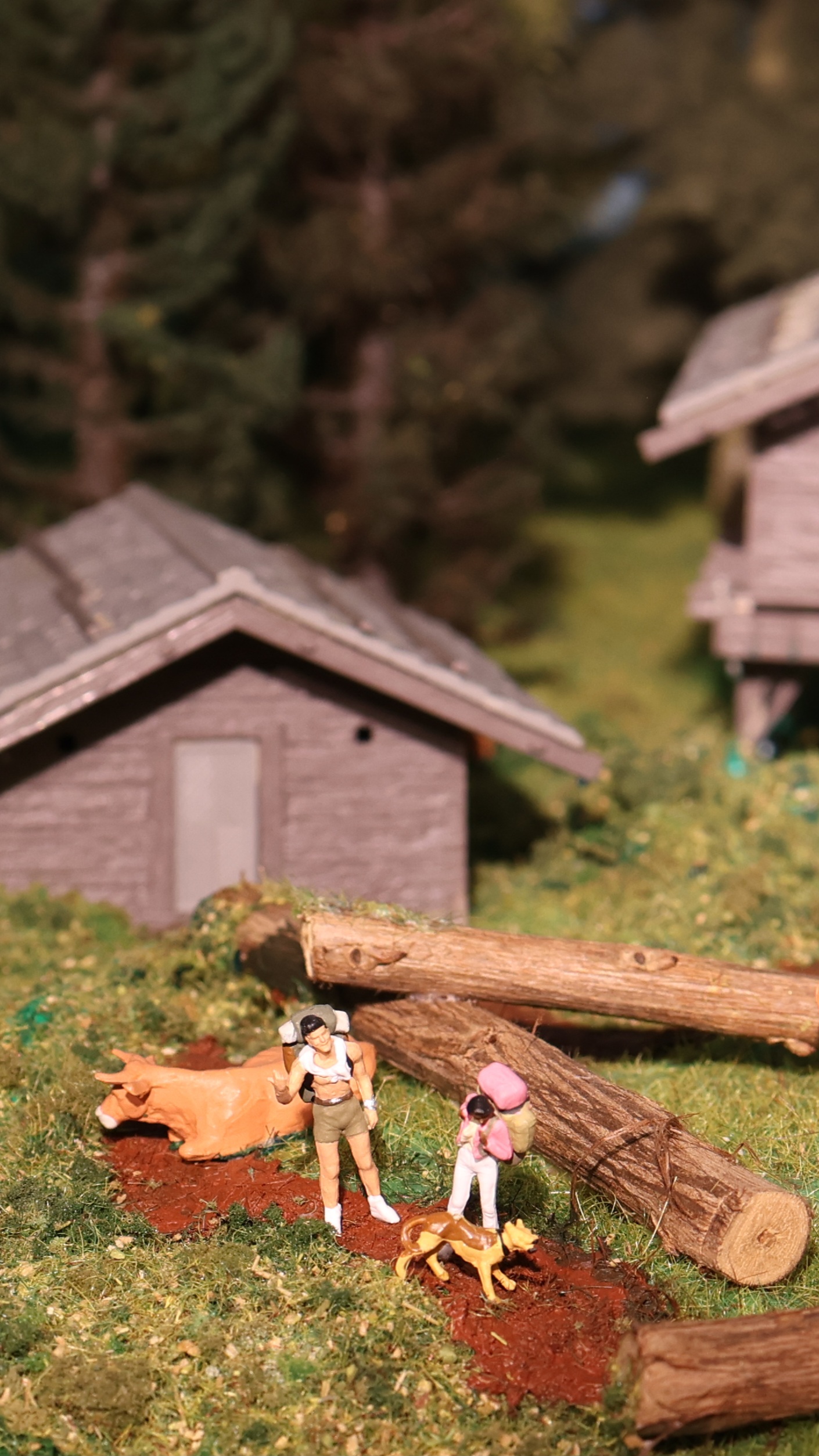 Angeluko Hesteko tren ttipia. PATXI BERHOUET