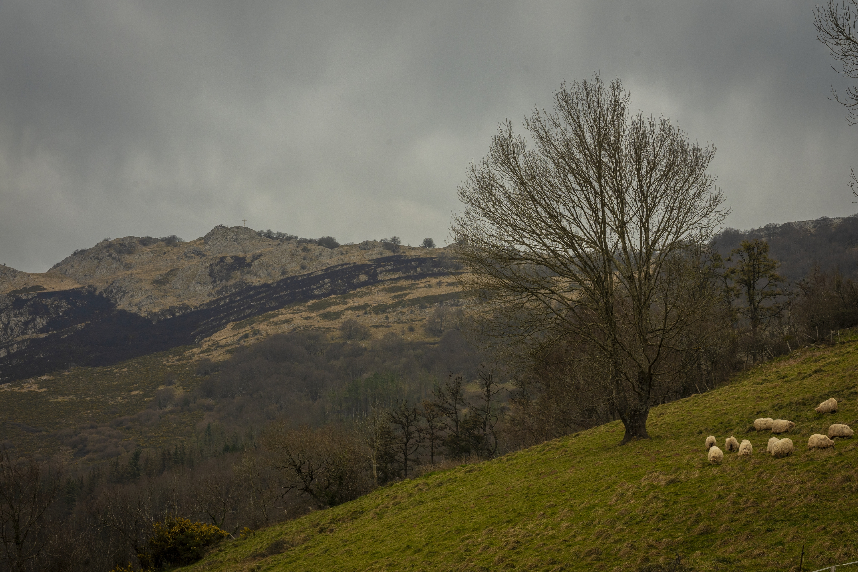 Hernio mendia, artxiboko irudi batean. GORKA RUBIO / FOKU