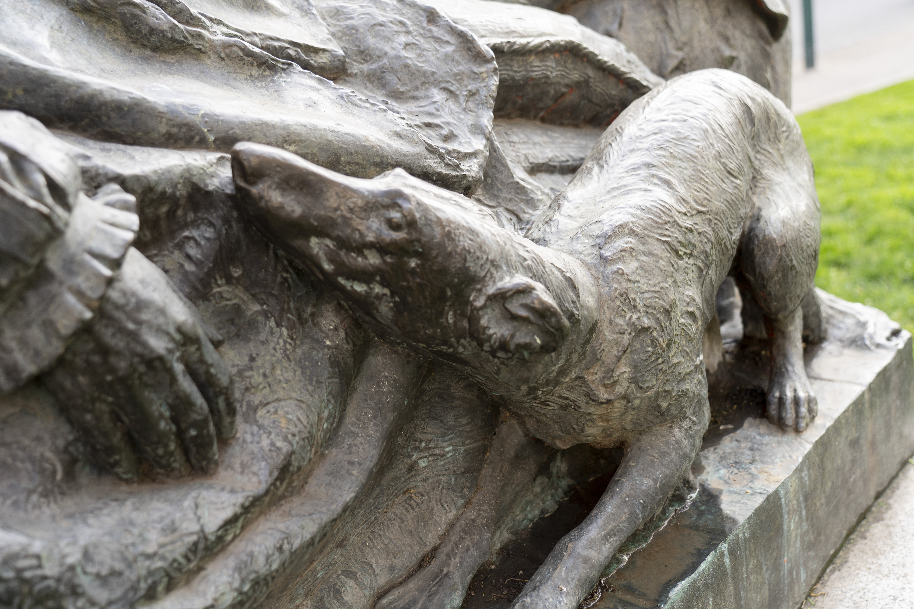 Txakurra San Inazio Loiolakoaren omenezko monumentuan, Iruñean.