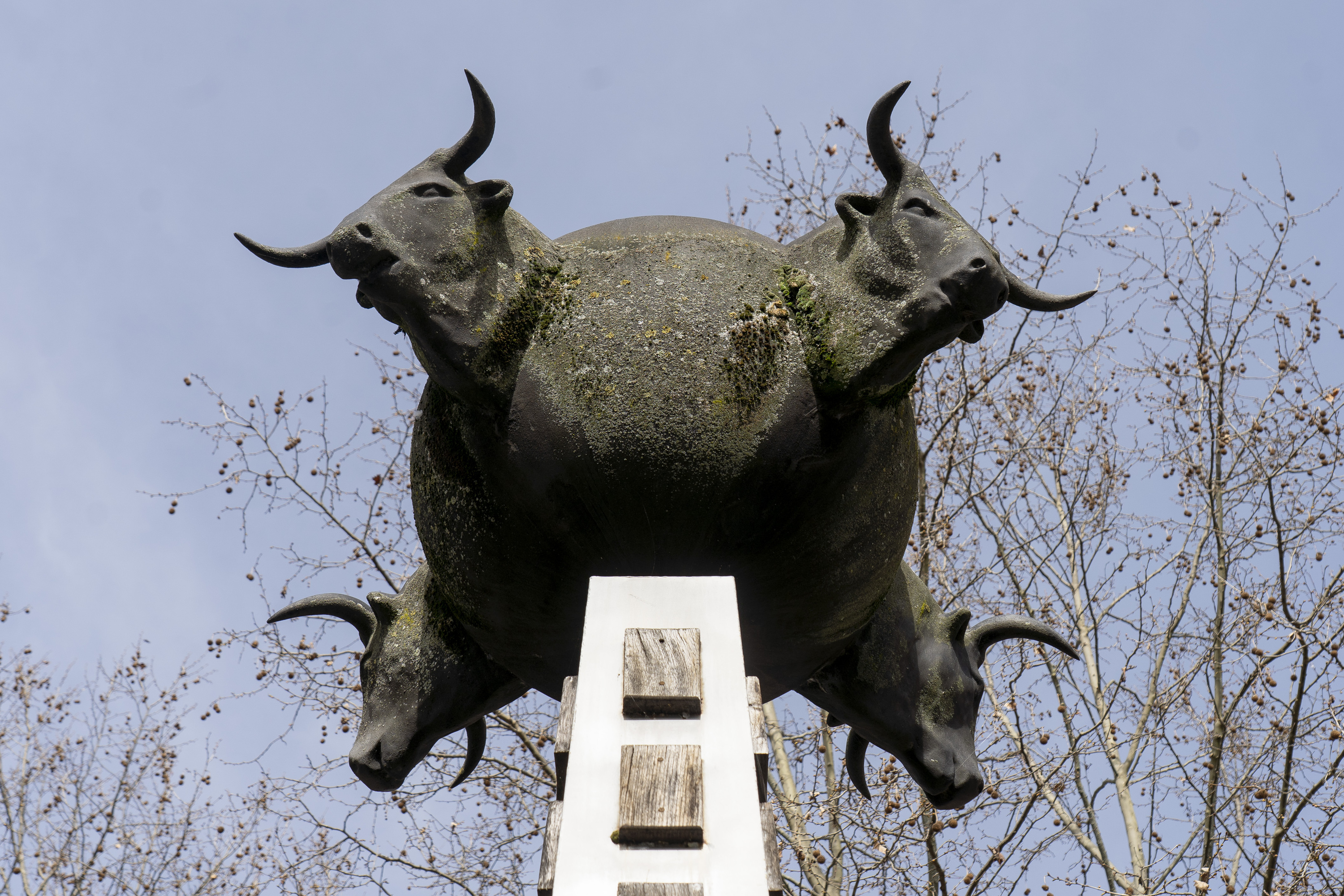 Zezenak, Carlos Zirizak egindako eskulturan, Iruñean. 