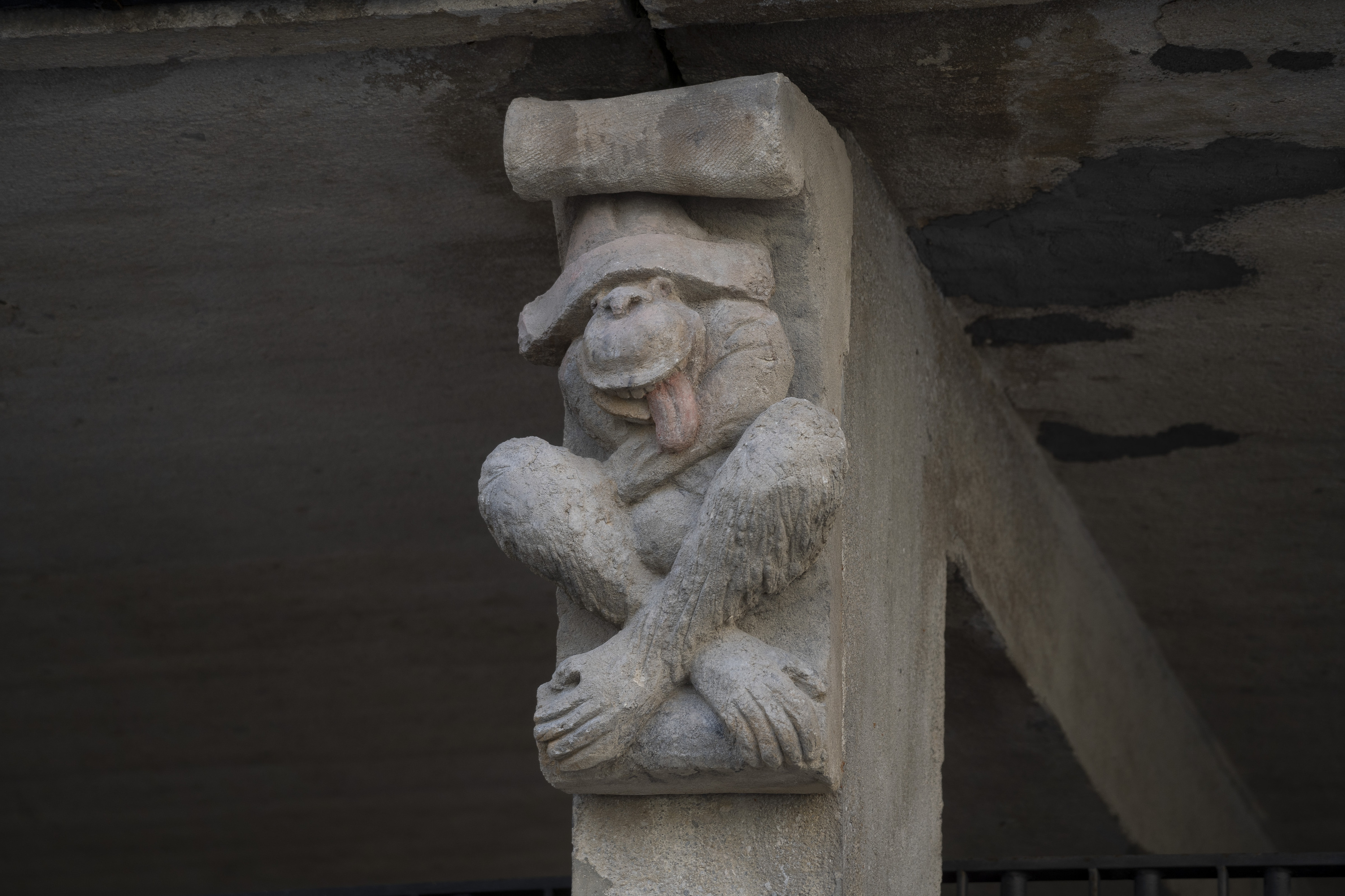 Arte Eskolaren kanpoaldean dagoen tximuetako bat, Iruñean. 