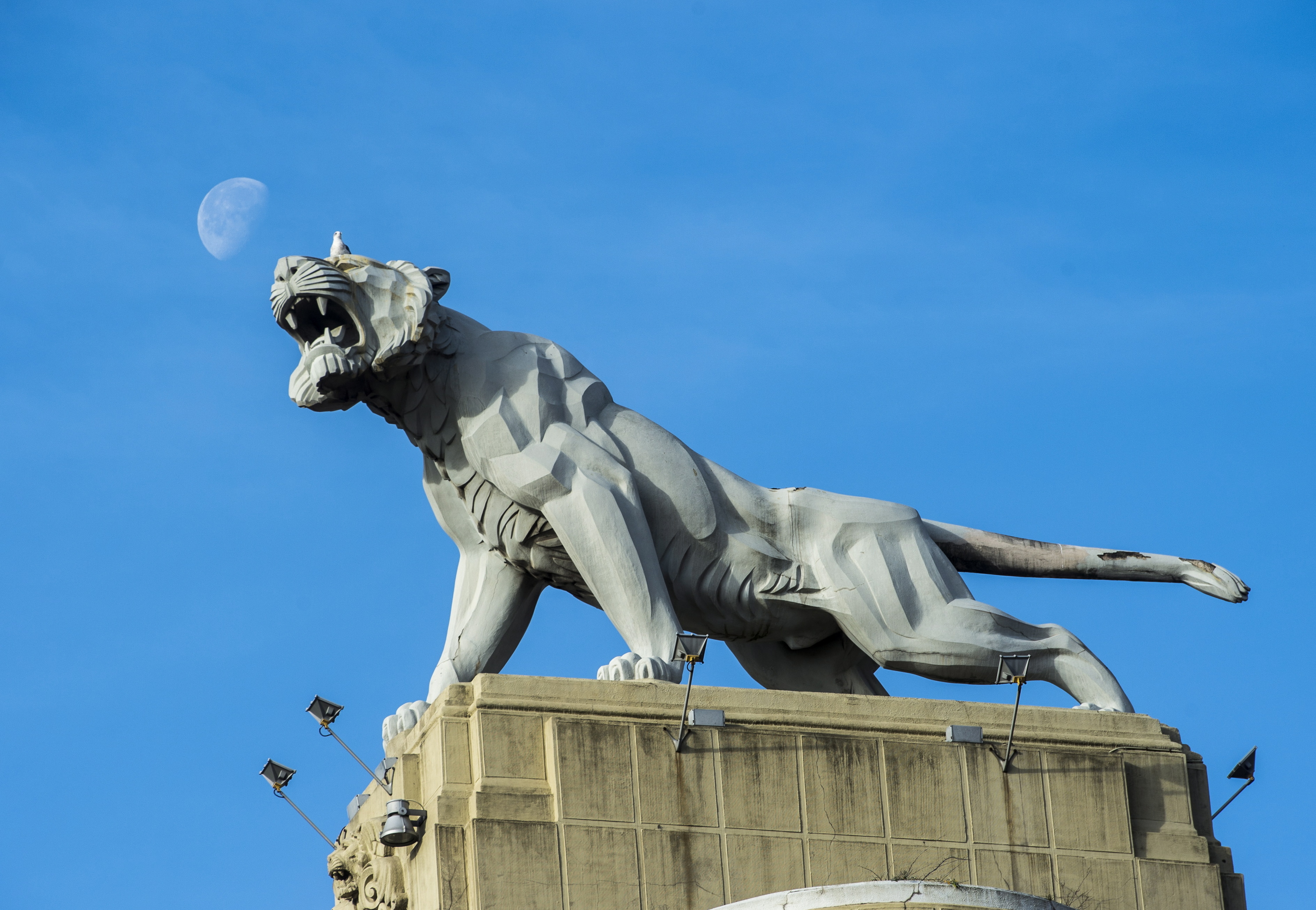 Deustuko tigrea, Joaquin Lucariniren eskultura ezaguna. 