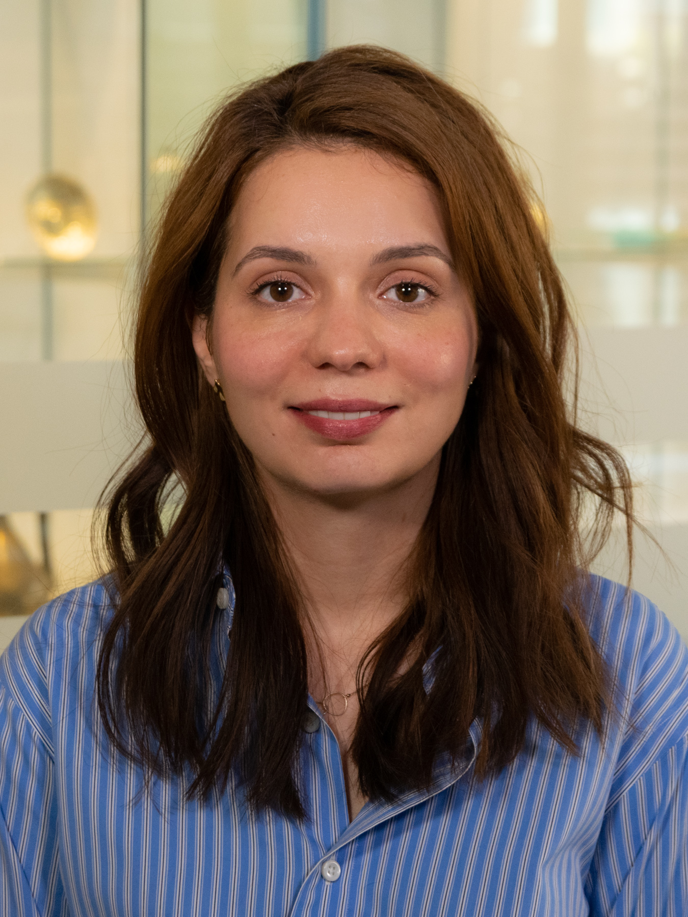 Iulia Joja. MIDDLE EAST INSTITUTE