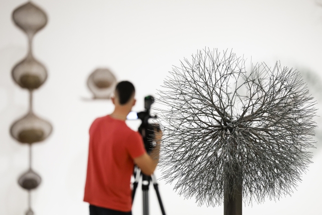 Ruth Asawaren naturan inspiratutako lanetako bat. MIGUEL TOÑA / EFE