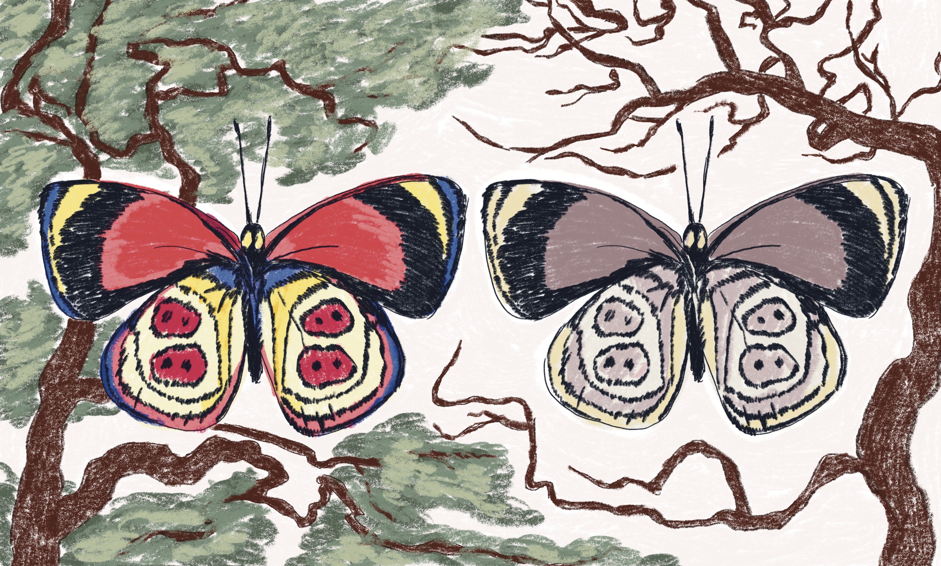 Tximeletak. IRATI PELUAGA