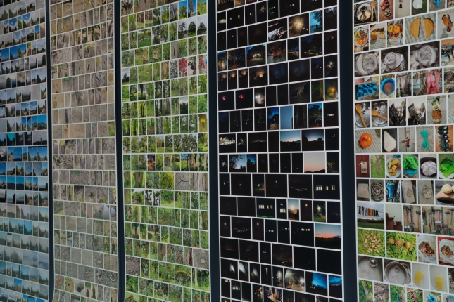 (ID_17742574137335) \'Desagertzen diren hitzen lexikoa\'