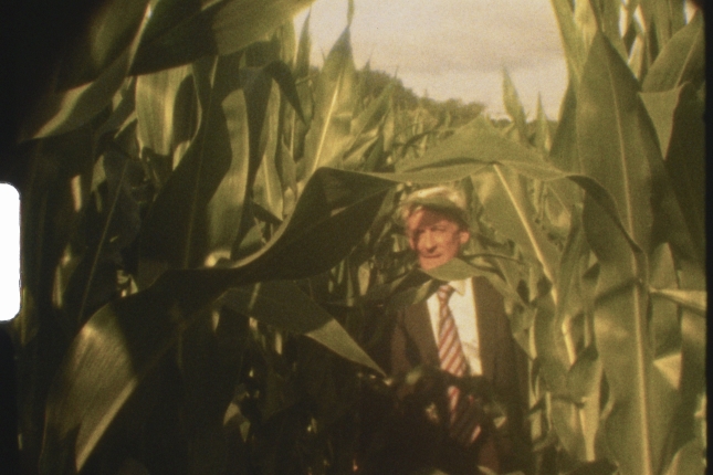 (ID_17742582740965) \'Desagertzen diren hitzen lexikoa\'