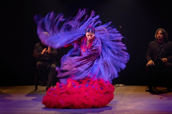 Eva Yerbabuenaren konpainiaren ikuskizun bateko irudia. M. H.