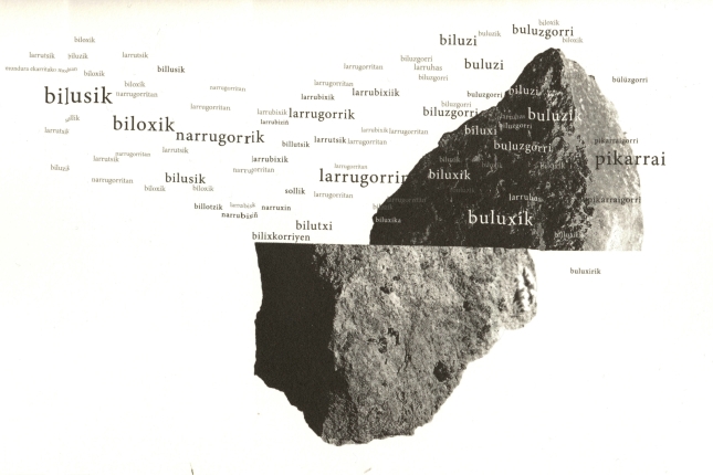  Bigarak Ixiar Rozasen 'Narrugorrik' libururako osatutako irudia.