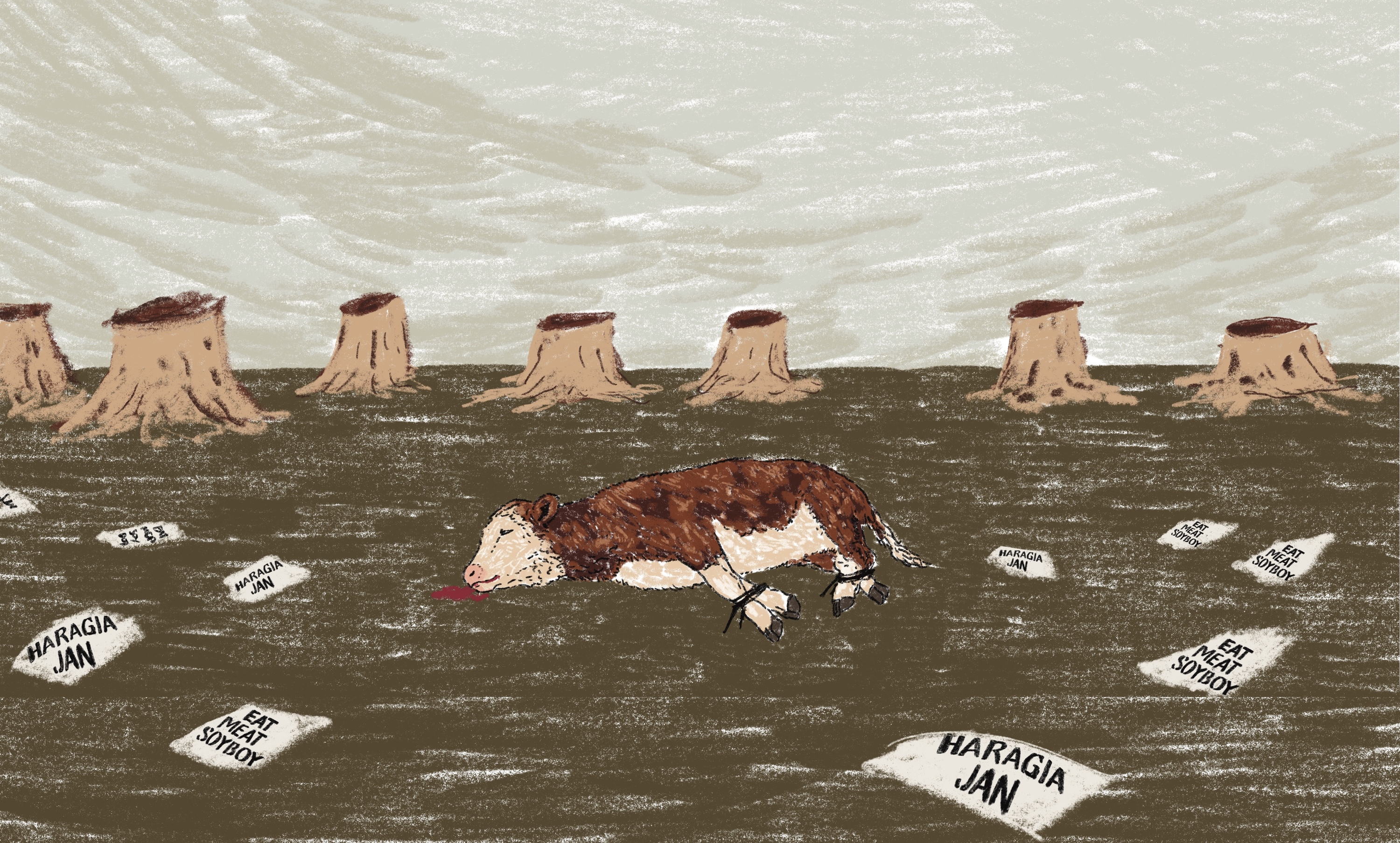 Irati Peluaga Irati Peluaga